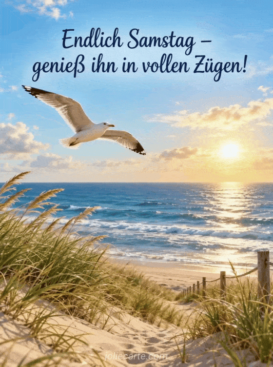 schonen-samstag-ihr-lieben9rt7698070