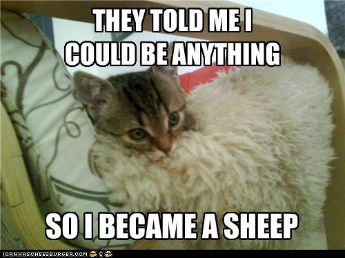 Bilder-Thread tz4Dc09 funny-pictures-baaaa-aaaad-joke