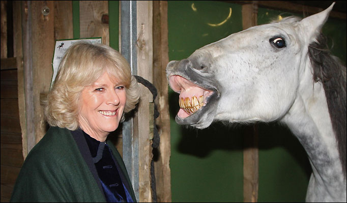 Camilla-Horse1 682 685120a