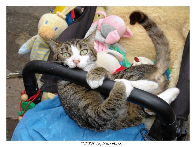 Bilder-Thread tzkGt5V 3942644