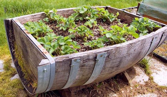 diy-wine-barrel-planters2