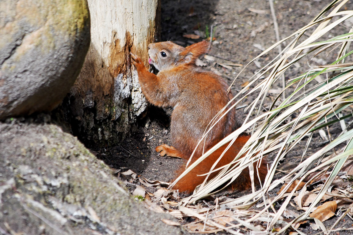 8136476c-fa77-4253-814f-5824e930e568