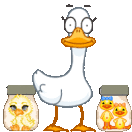 oie overlay