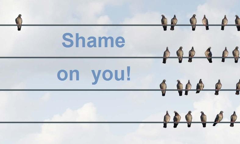 shameonyou