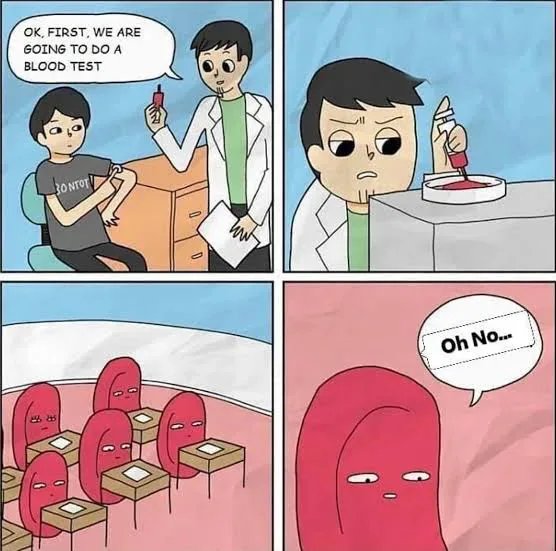 1000031276