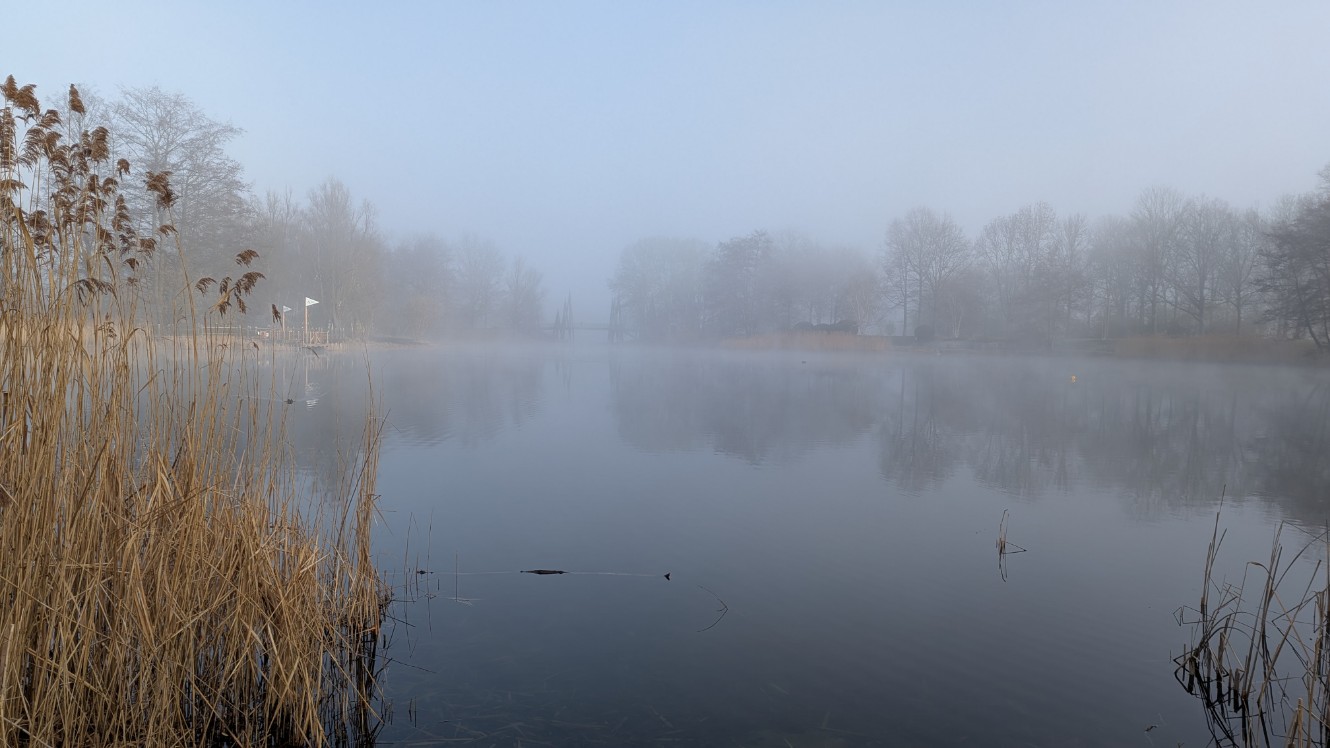 d3c4c8b3-da0d-4ab1-b244-29f6127b9f0f