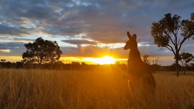 Australian-Outback-