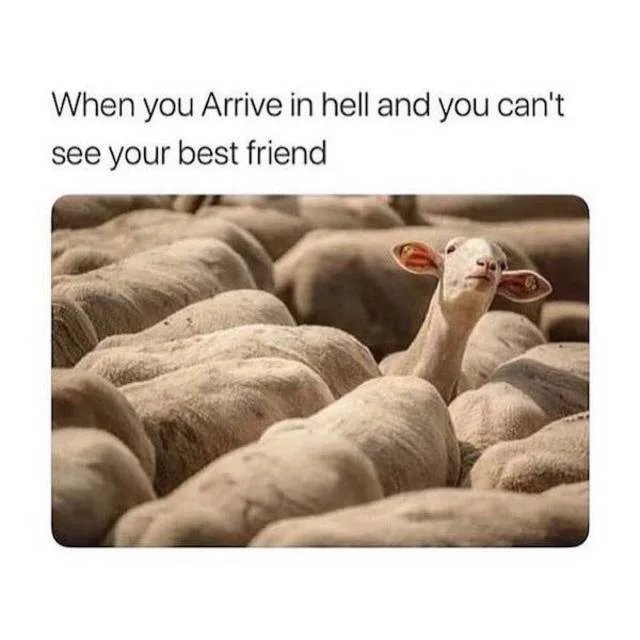 1000035177