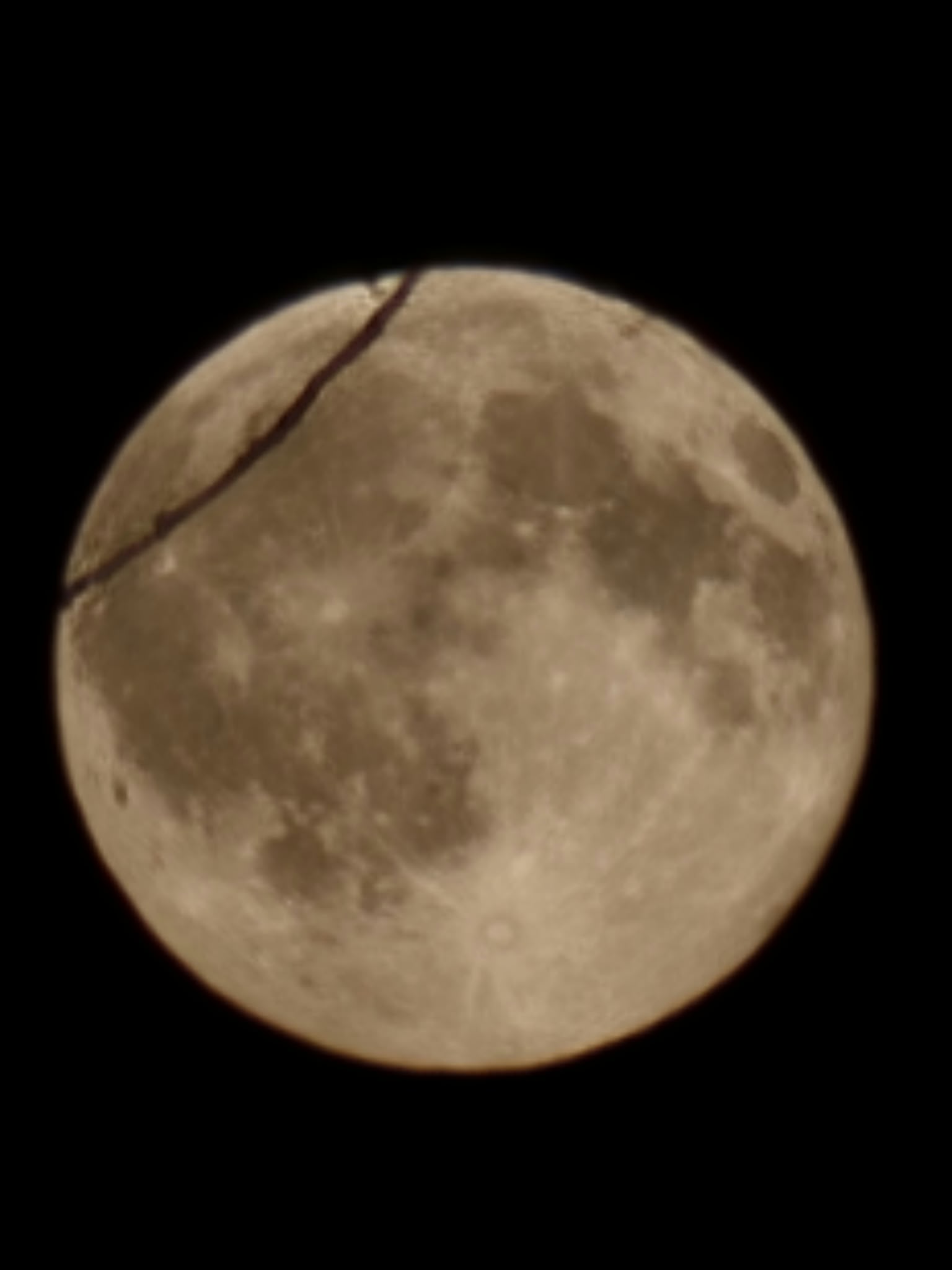 IMG-20260926-WA0011