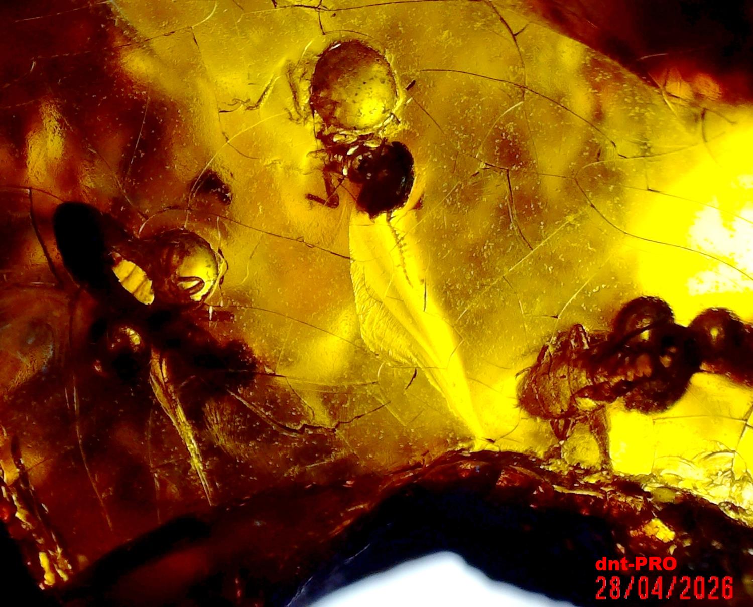 2026 0428 182658 001