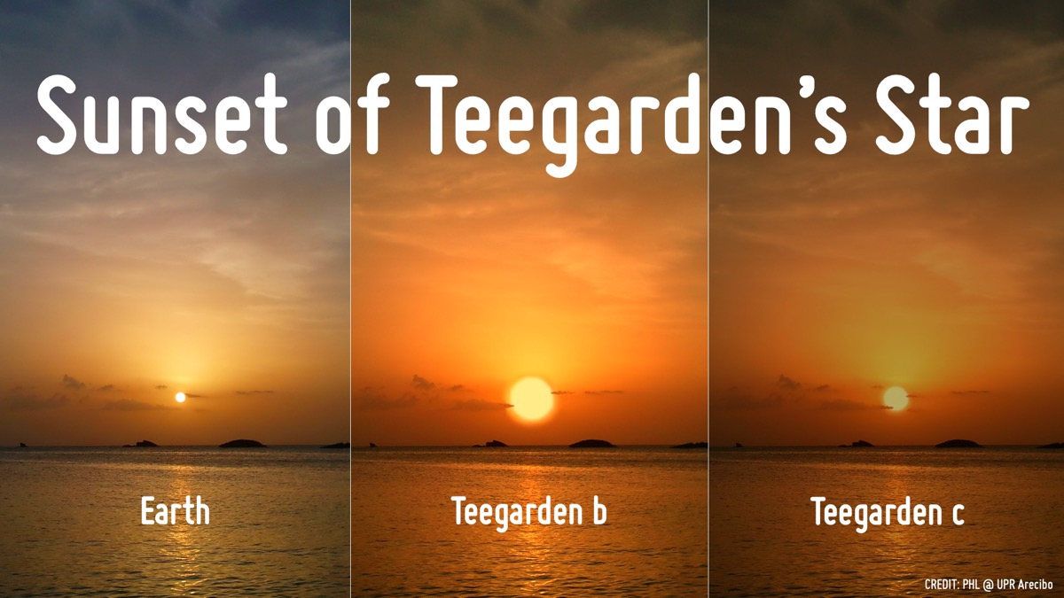 Sunset Teegarden