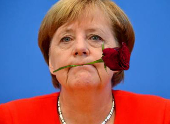 09df39272d17 Merkel Rose