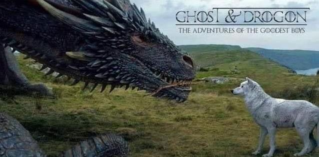 1ee2acc86f7c84e3 Ghost und Drogon