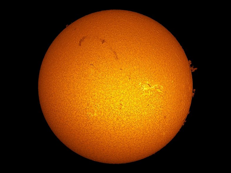 20908258bbf4 active sun