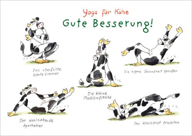 3651888d0c0d RF 6343 Yoga f Kuehe Besserung icon 600x