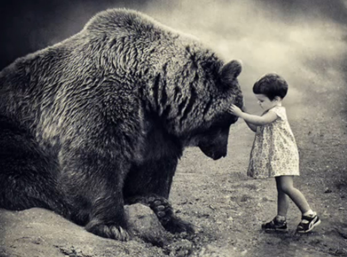 Смелость картинка. Девочка и медведь. Смелость картинки. Доброта и смелость. О доброте.