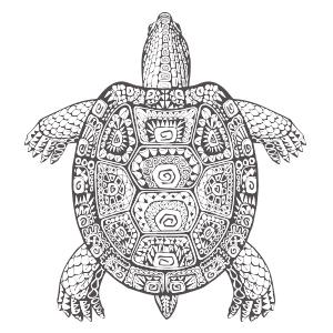 8696468aa4e3a0ef mandala-schildkroete-i