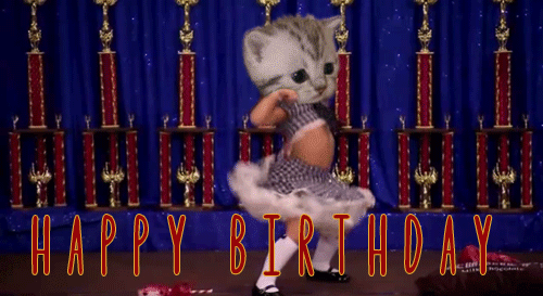 da516ead6fe1 funny-girl-cat-dance-happy-birthday-gif
