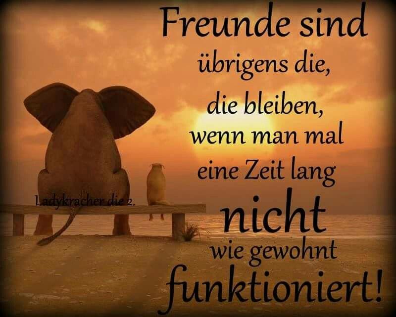 ocfmdib25mv1 Freunde