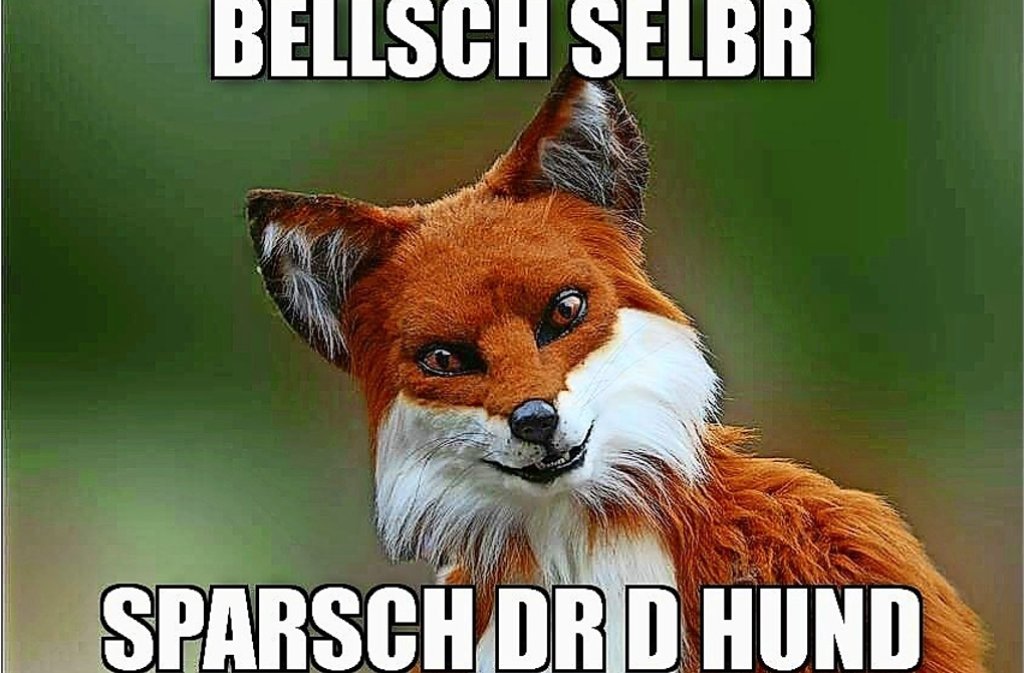 bellsch meme - Copy