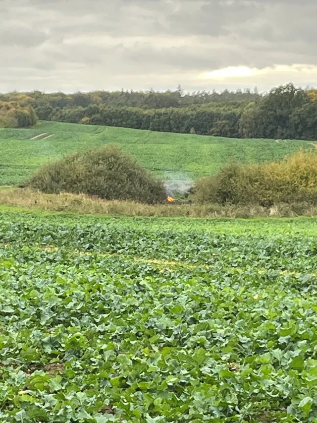 moJB3JJQ5TXQ2SMYN8Xy