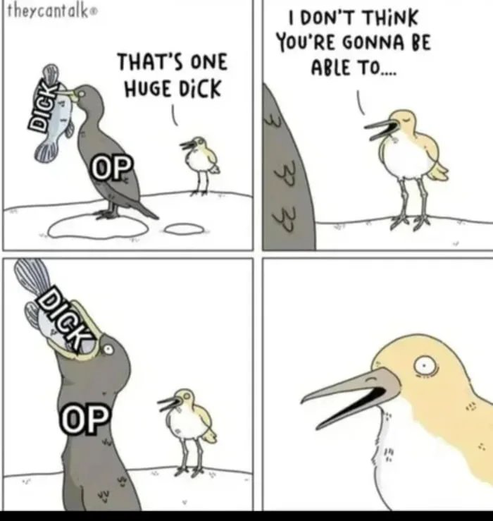 1786541885000-1786591240699
