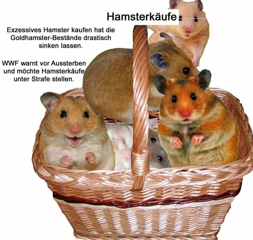 hamsterkauf