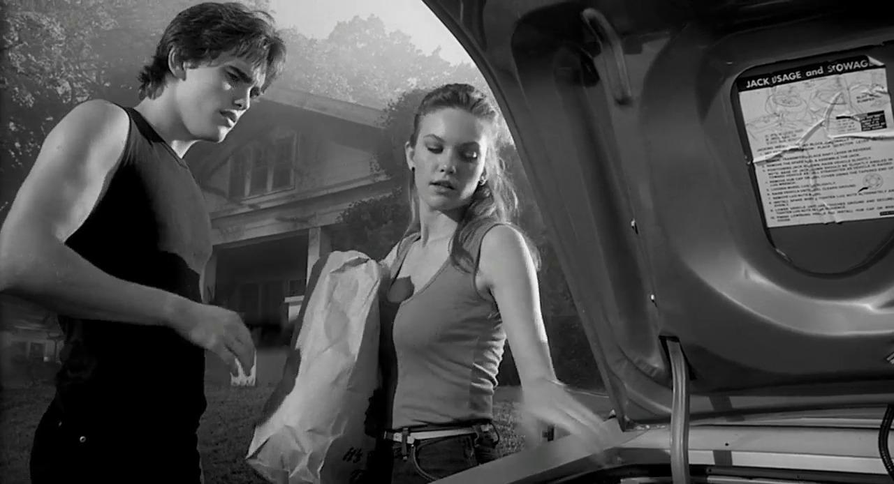 Rumble Fish 1983 F Coppola D Lane - Copy