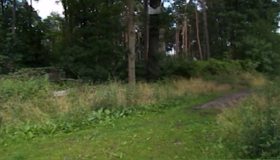 Screenshot 2026-03-04 180032