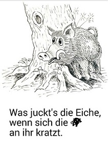 Eiche