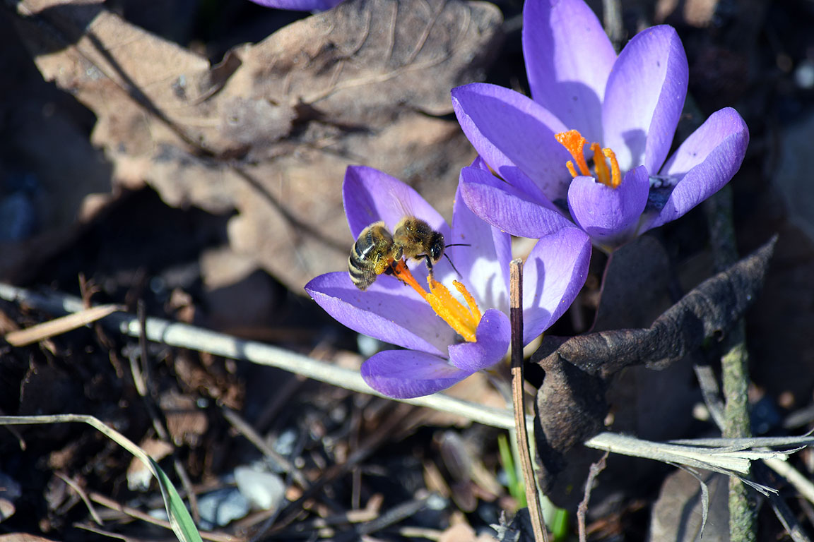 c9cc0b8b-503b-4419-9cb4-a1ea13eeba51