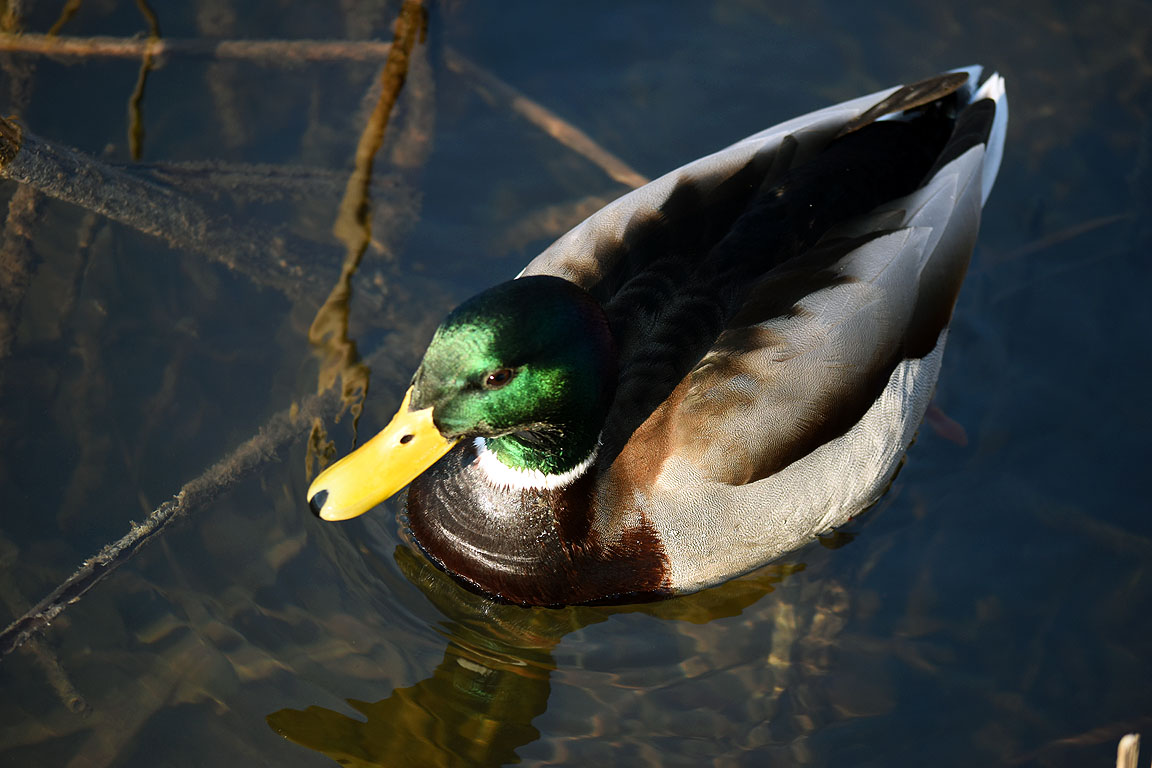 0025c86d-5d3f-4542-b5bd-4a6259eae693