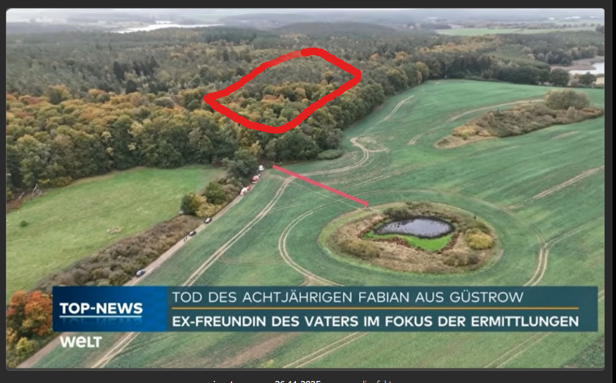 Feldweg mit Wald Foto