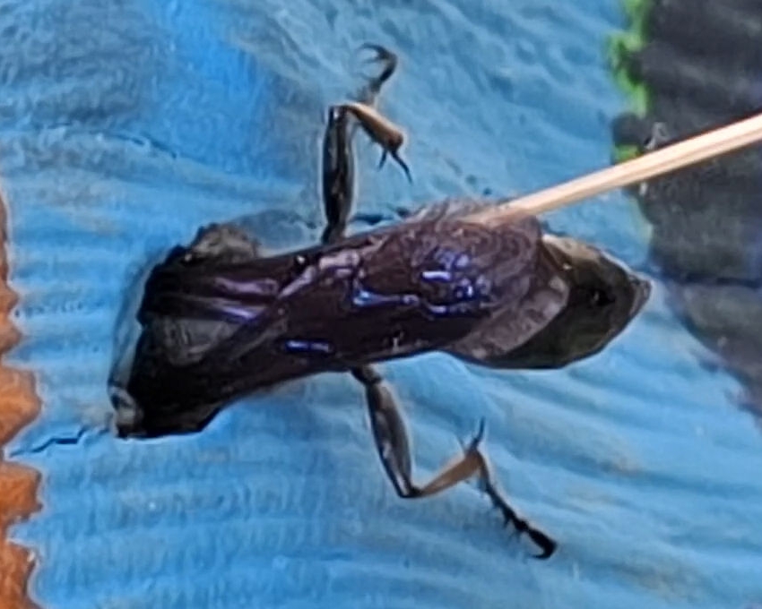 xx01