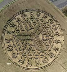 antsycropcircle