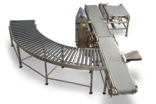 pl20555746-customized roller conveyor sy