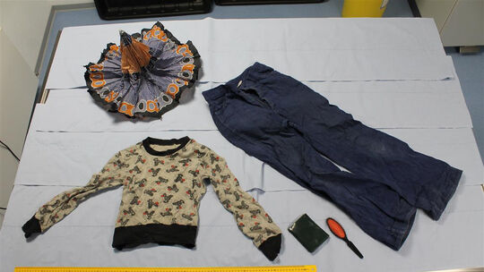 2588317 1 figurenolazy Kleidung