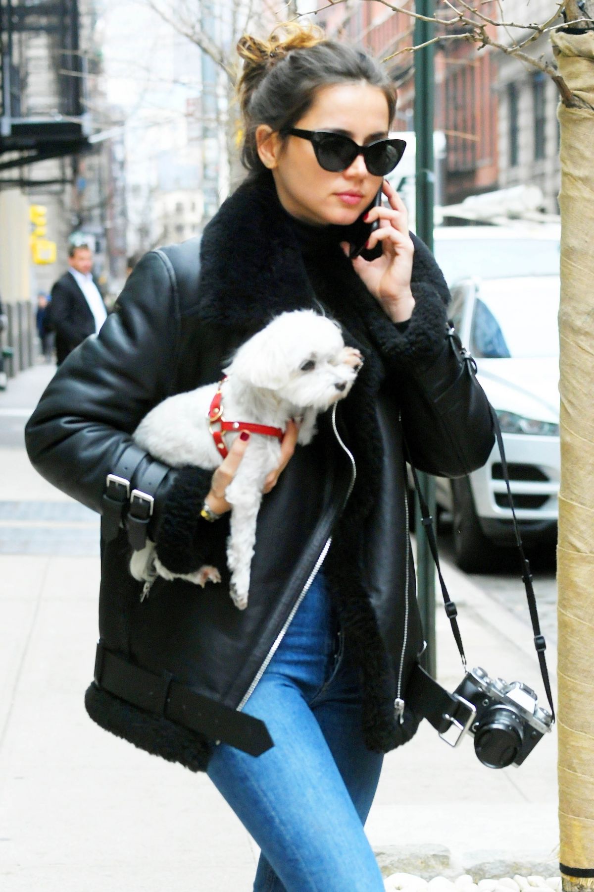 ana-de-armas-out-with-her-dog-in-new-yor