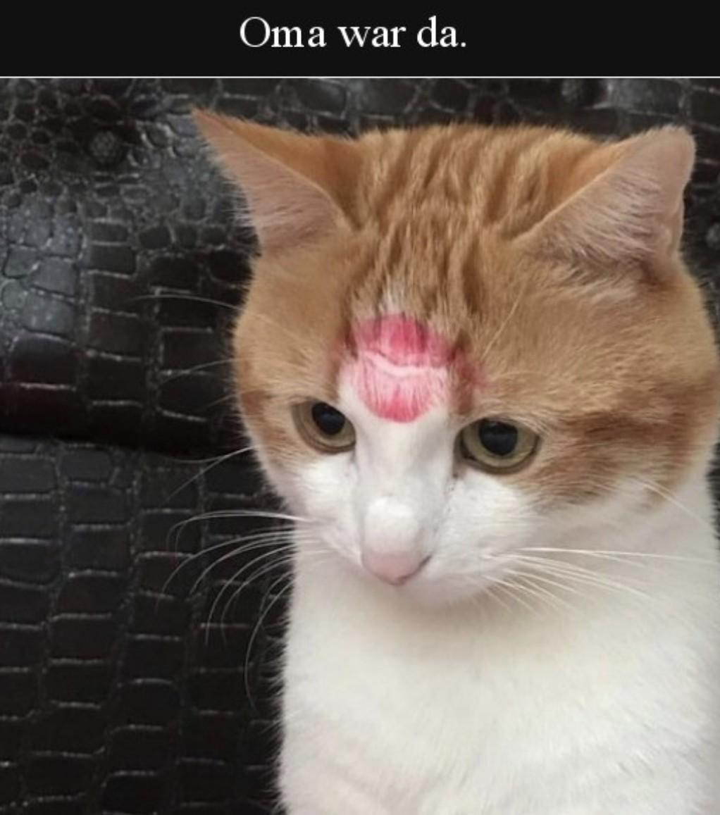 Screenshot 20211120-102315