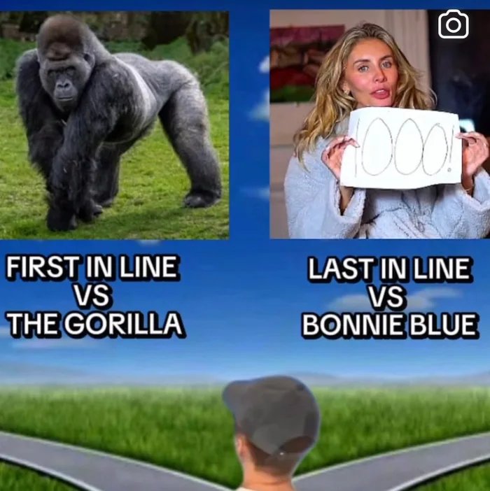 1000013193