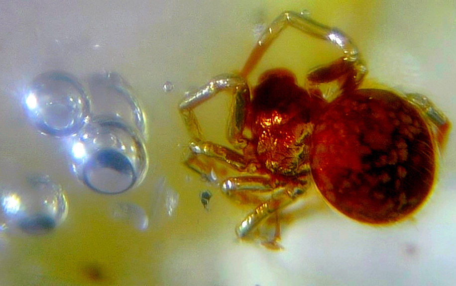 e3a