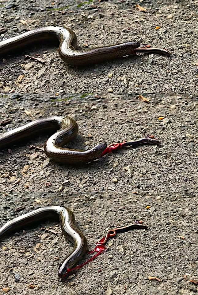 FB IMG 1763918051394