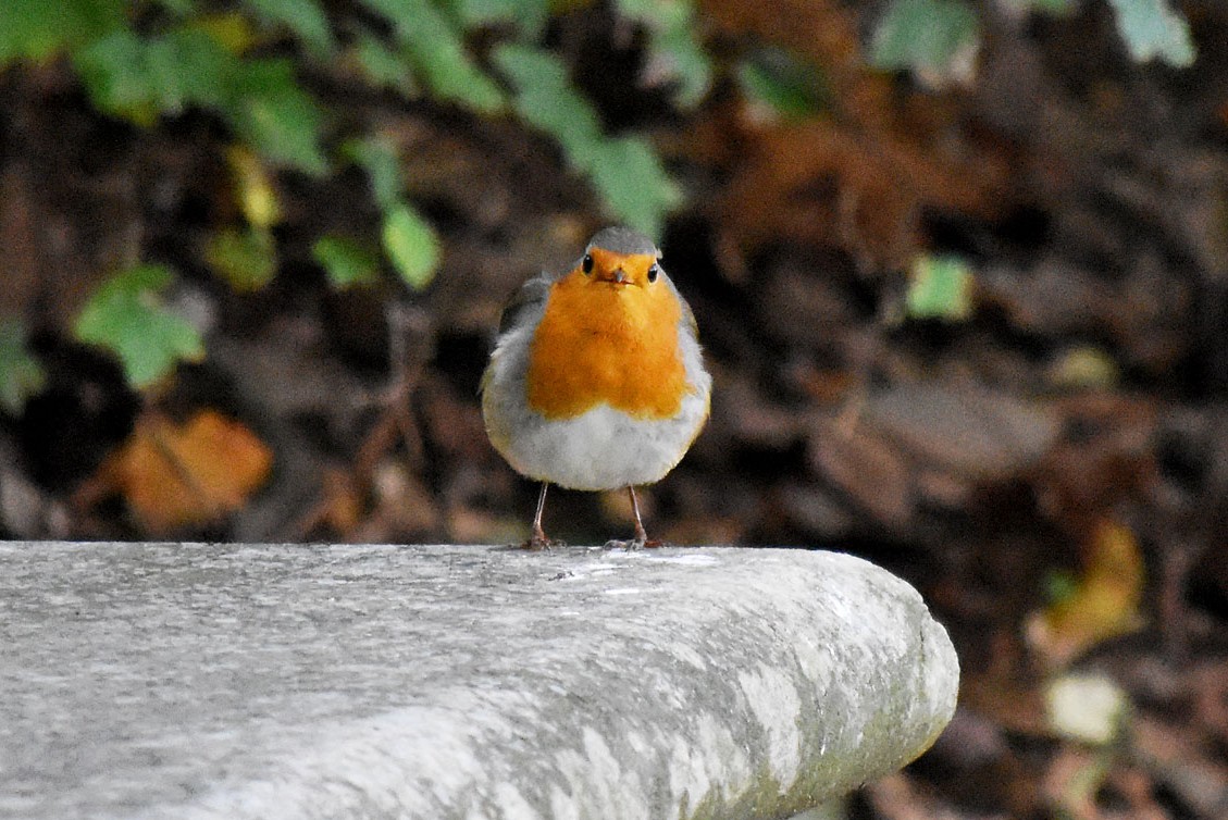 034a7e82-8a97-4dd7-b4ae-ce0eaa50aeaf