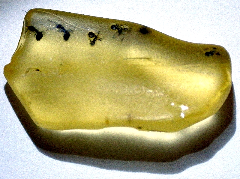 f53e736da67a  KK 9154