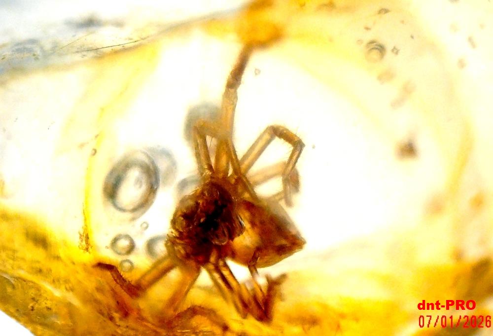 2026 0107 200331 002