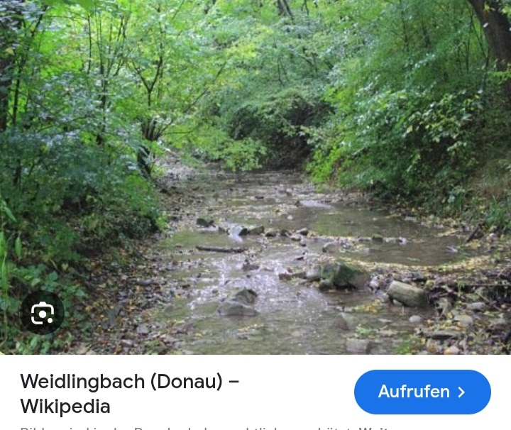 Screenshot 20251030-101447 Google