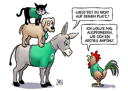 werder-bremen-kurz-vor-dem-abstieg