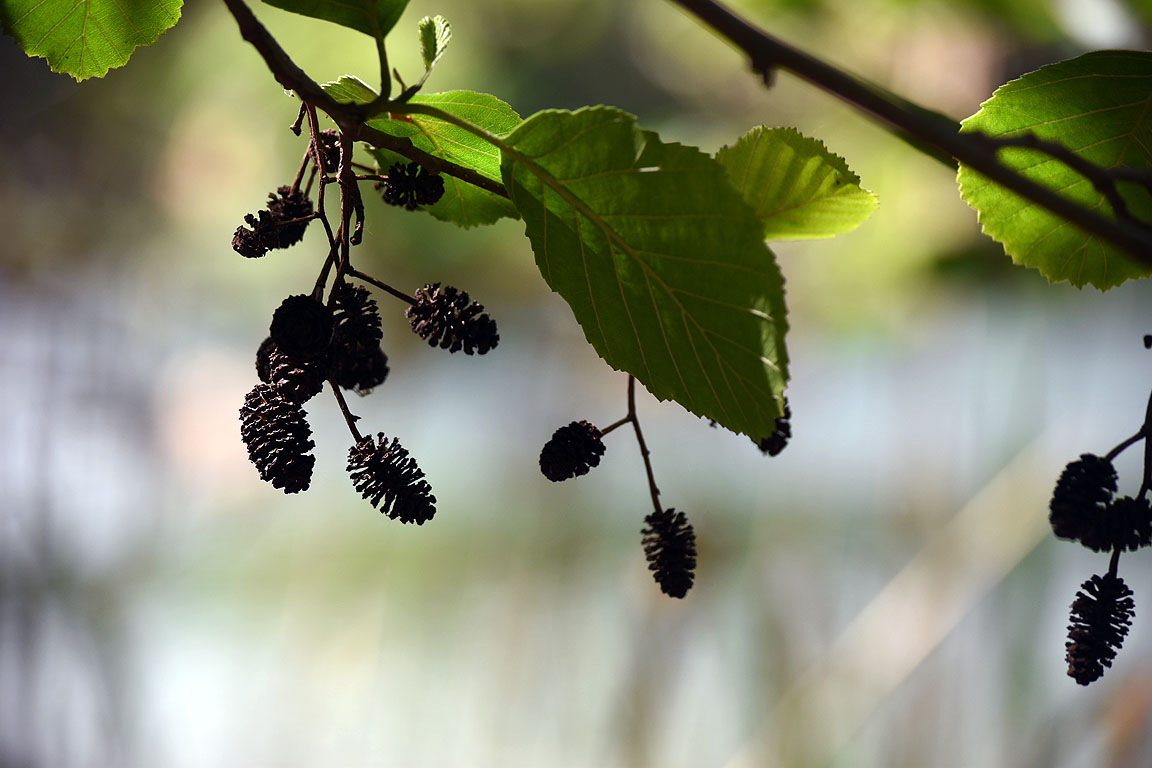45d32fa2-b362-4130-b3df-5d26728b32f4
