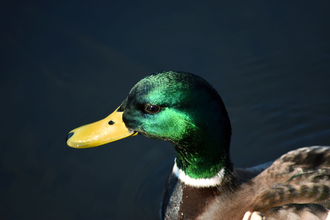 250fc5ac-8180-48cb-b9e5-a3de6d75b250