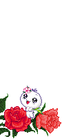 oie overlay